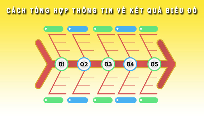 Cách tổng hợp kết quả biểu đồ xương cá