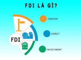 FDI là gì? Đặc điểm, phân loại, vai trò, ưu nhược điểm FDI FDI là gì