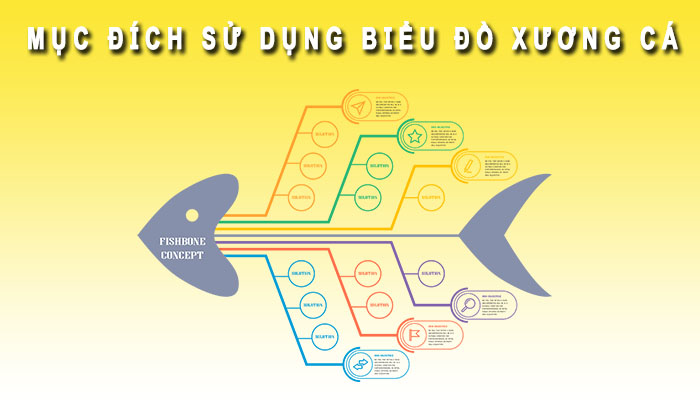 Mục đích sử dụng biểu đồ xương cá