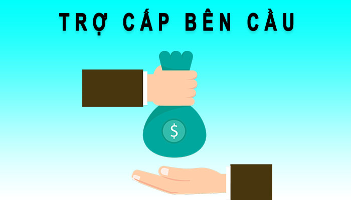 Trợ cấp bên cầu