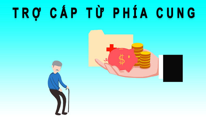 Trợ cấp phía cung