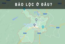 Bảo Lộc ở đâu? Thành phố du lịch trẻ của tỉnh Lâm Đồng Bảo Lộc ở đâu