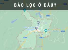 Bảo Lộc ở đâu? Thành phố du lịch trẻ của tỉnh Lâm Đồng Bảo Lộc ở đâu