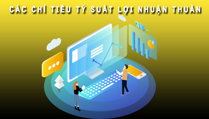 Các chỉ tiêu tỷ suất lợi nhuận thuần