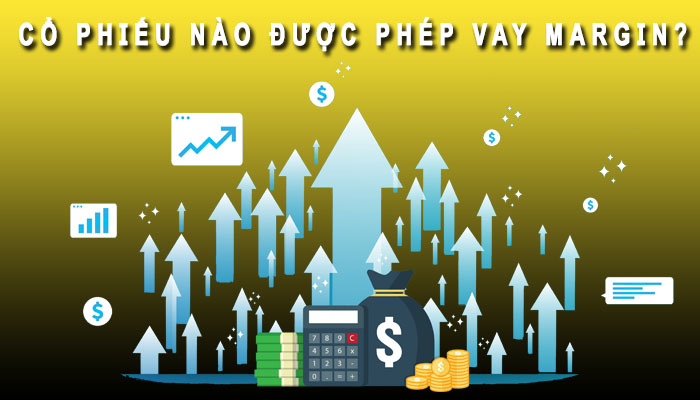 Cổ phiếu nào được vay Margin