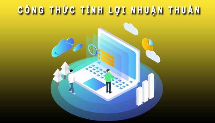 Công thức tính lợi nhuận thuần