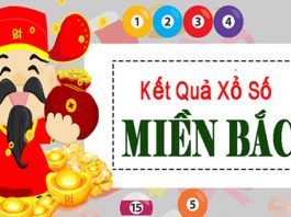 Cùng Xổ Số KT điểm danh qua các dự đoán kết quả của xổ số kiến thiết miền Bắc Dự đoán kết quả xổ số miền bắc