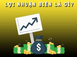 Lợi nhuận biên là gì?