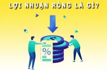 Lợi nhuận ròng là gì? Công thức tính lợi nhuận ròng chính xác nhất Lợi nhuận ròng là gì?