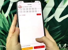 Tra cứu kết quả xổ số