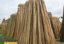 Xưởng bán nguyên liệu tre trúc giá rẻ tại TPHCM – Tre Trúc Huy Hoàng Xưởng bán nguyên liệu tre trúc giá rẻ tại TPHCM – Tre Trúc Huy Hoàng