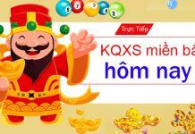 Cách tra cứu kết quả xổ số miền Nam – xổ số miền Trung nhanh chóng tại Xổ Số KT Dự đoán kết quả xổ số miền Bắc