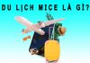 Du lịch MICE là gì? Các loại hình du lịch MICE ở Việt Nam Du lịch Mice là gì