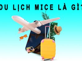 Du lịch Mice là gì