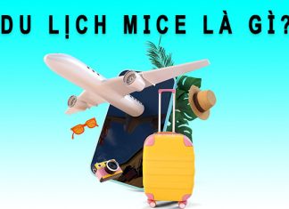 Du lịch MICE là gì? Các loại hình du lịch MICE ở Việt Nam Du lịch Mice là gì