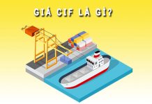 Giá CIF là gì