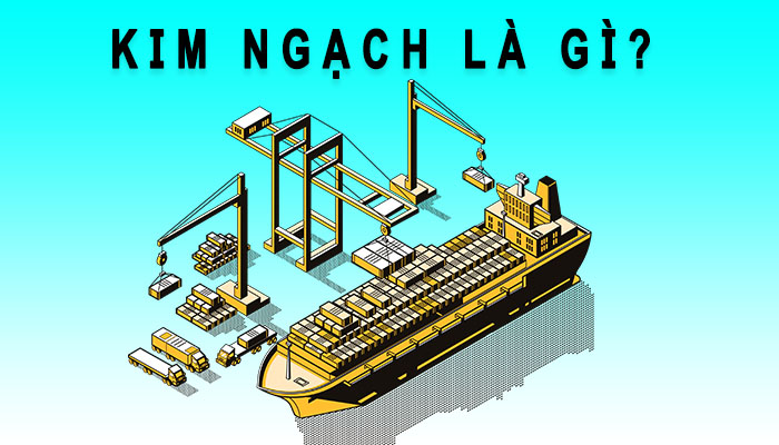 Kim ngạch là gì
