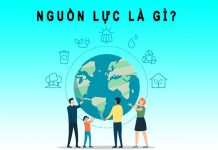 Nguồn lực là gì? 5+ nguồn lực doanh nghiệp quan trọng nhất Nguồn lực là gì