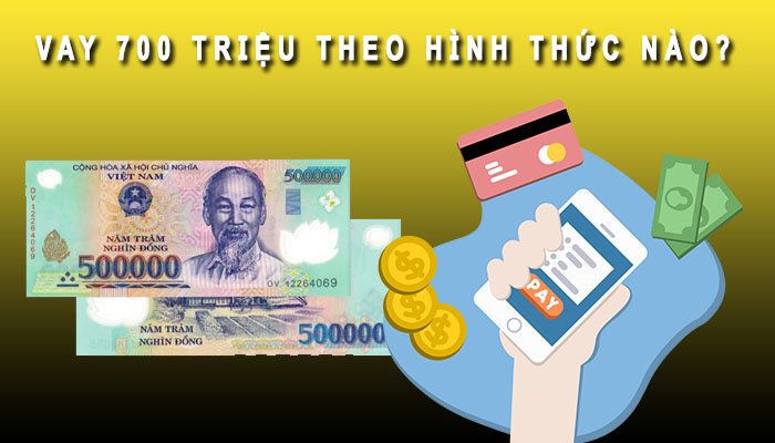 vay 700 triệu theo hình thức nào