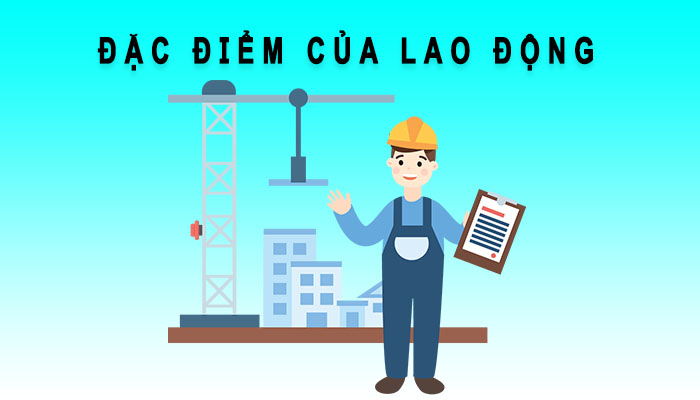 đặc điểm lao động