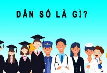 Dân số là gì? Cơ cấu và cách phân loại dân số dân số là gì
