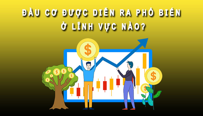 đầu cơ ở đâu