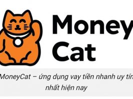 MoneyCat – Vay online 10 triệu trong ngày – 0% lãi suất giới thiệu money cat