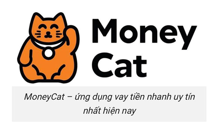 giới thiệu money cat