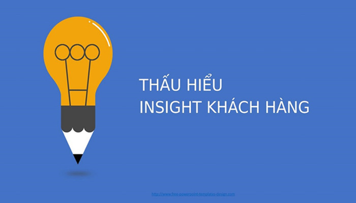 insight khách hàng