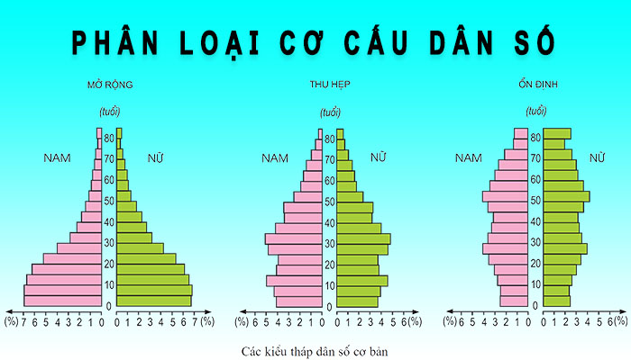 phân loại cơ cấu dân số