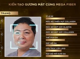 mega fiber là gì