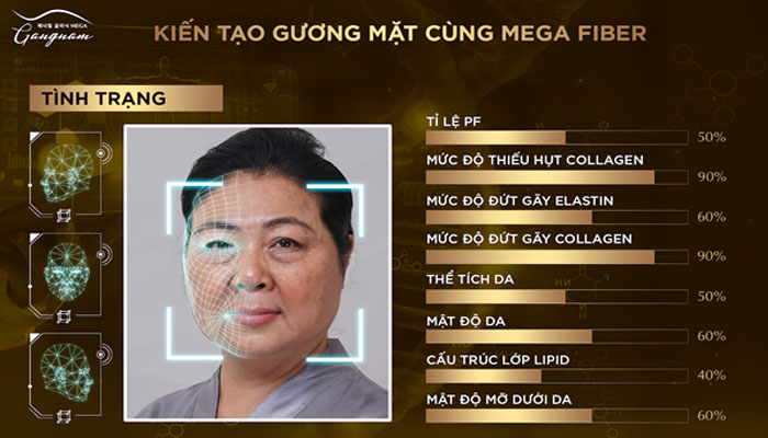 mega fiber là gì