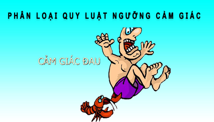 phân loại quy luật ngưỡng cảm giác