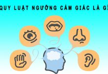 Quy luật ngưỡng cảm giác là gì? Ví dụ về quy luật ngưỡng cảm giác quy luật ngưỡng cảm giác là gì