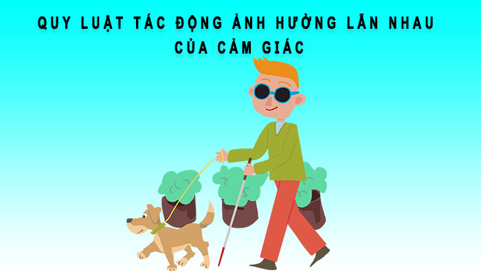 quy luat tác động ảnh hưởng lẫn nhau của cảm giác