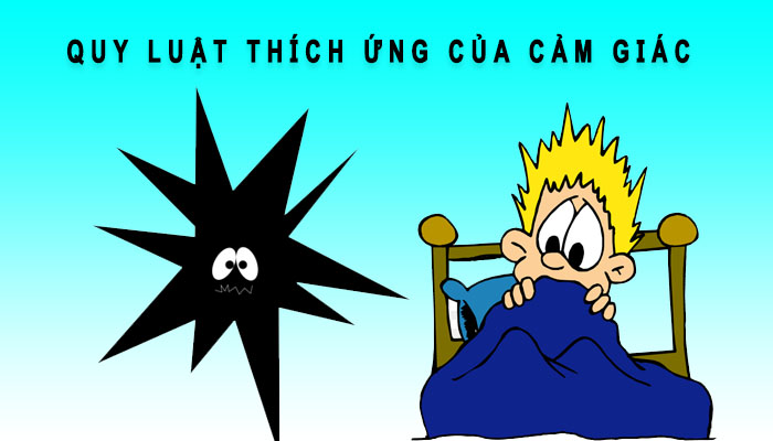 quy luật thích ứng của cảm giác