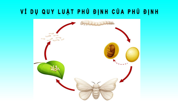 ví dụ quy luật phủ định của phủ định