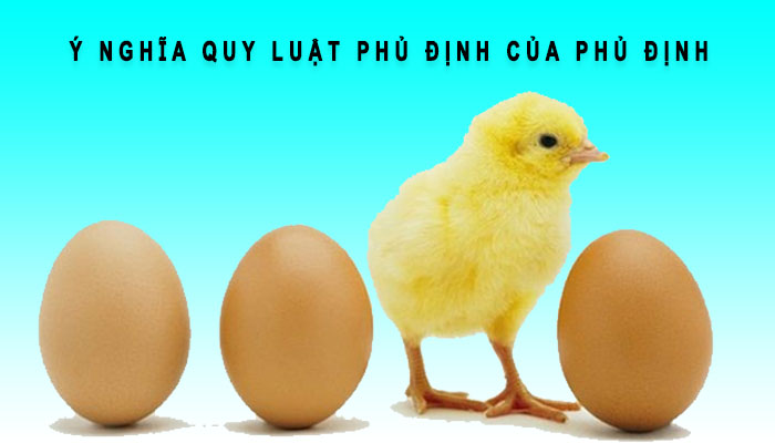 ý nghĩa quy luật phủ định của phủ định