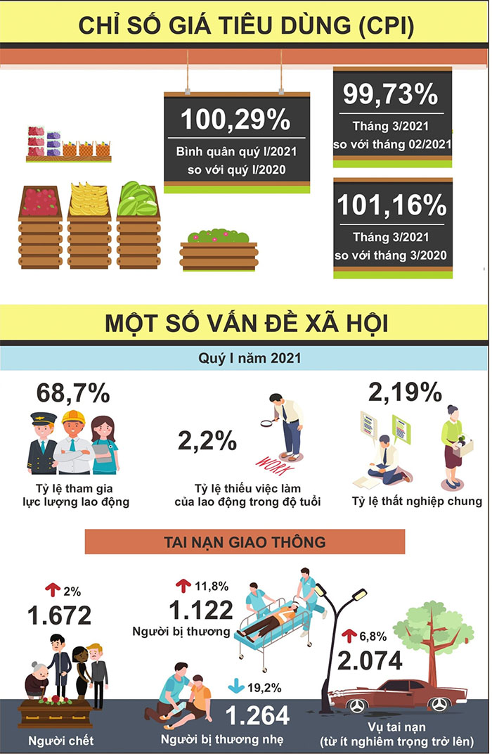 infographic thống kê