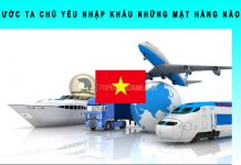 Nước ta chủ yếu nhập khẩu những mặt hàng nào? nước ta chủ yếu nhập khẩu