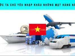 Nước ta chủ yếu nhập khẩu những mặt hàng nào? nước ta chủ yếu nhập khẩu