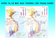 Nước ta có mấy ngư trường lớn trọng điểm? nước ta có mấy ngư trường lớn trọng điểm