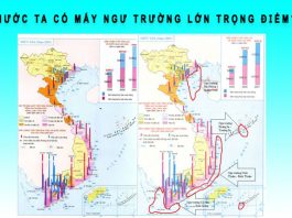 Nước ta có mấy ngư trường lớn trọng điểm? nước ta có mấy ngư trường lớn trọng điểm