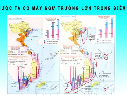nước ta có mấy ngư trường lớn trọng điểm