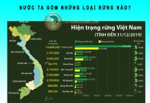 Nước ta gồm những loại rừng nào? nước ta gồm những loại rừng nào