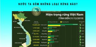 nước ta gồm những loại rừng nào