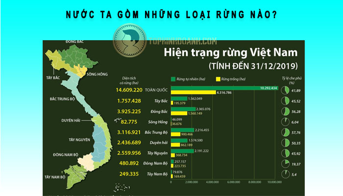 nước ta gồm những loại rừng nào
