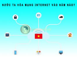 Nước ta hòa mạng Internet vào năm nào? nước ta hòa mạng internet vào năm nào