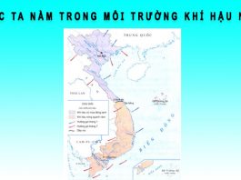 Nước ta nằm trong môi trường khí hậu nào? nước ta nằm trong môi trường khí hậu nào