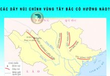 Các dãy núi chính vùng Tây Bắc có hướng nào? các dãy núi chính vùng tây bắc có hướng nào